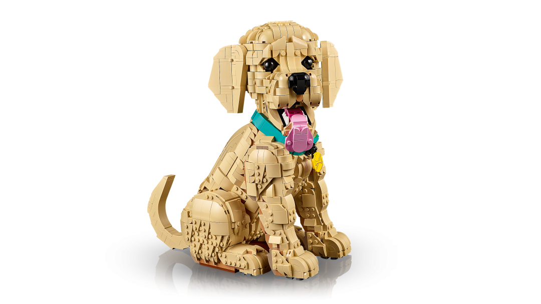 Icons Golden Retriever Puppy | 11384