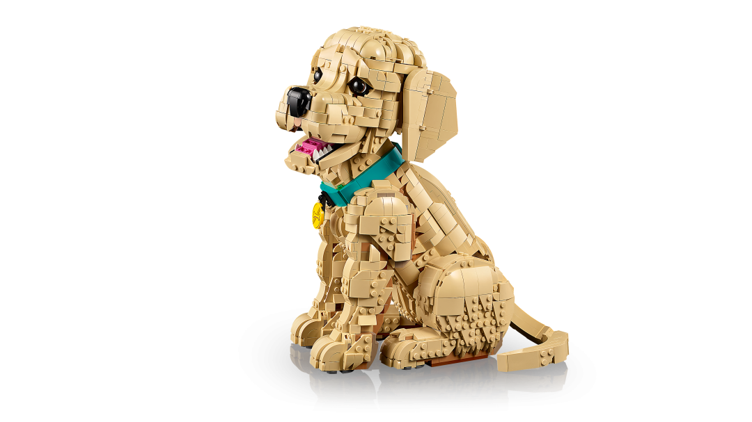 Icons Golden Retriever Puppy | 11384
