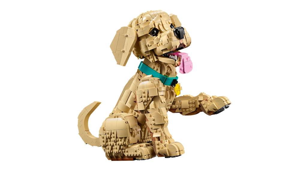Icons Golden Retriever Puppy | 11384