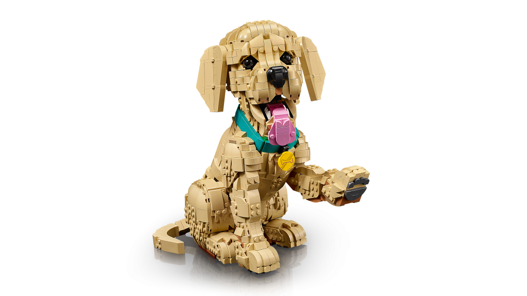 Icons Golden Retriever Puppy | 11384