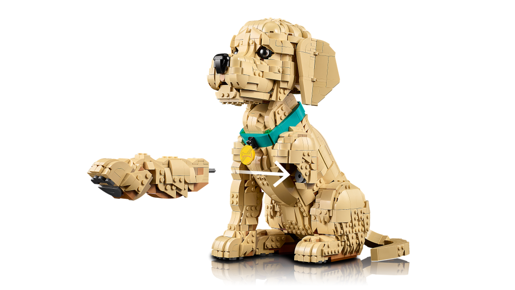 Icons Golden Retriever Puppy | 11384