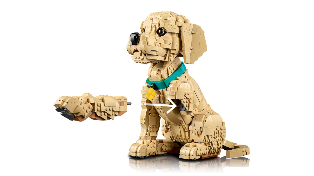 Icons Golden Retriever Puppy | 11384