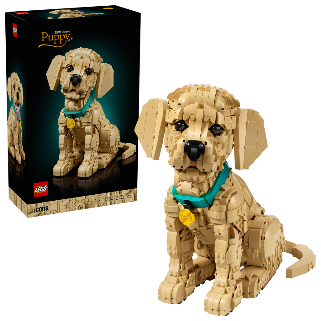 Icons Golden Retriever Puppy | 11384