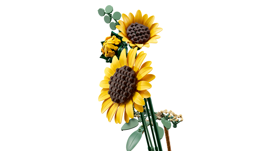 Botanicals Sunflower Bouquet | 11502