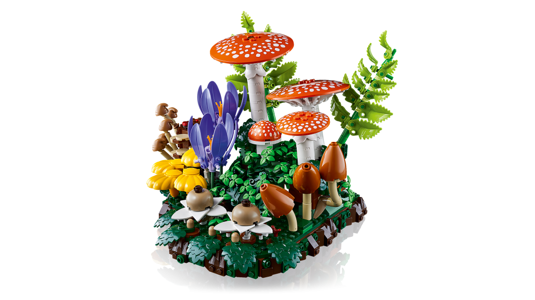 Botanicals Woodland Mushrooms | 11505