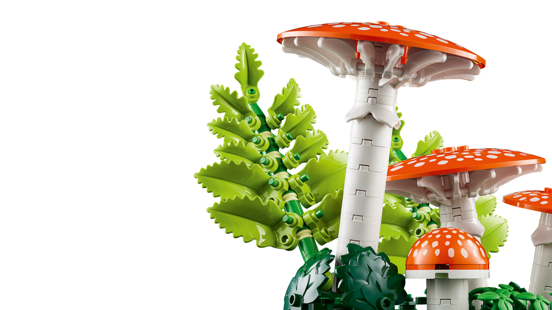 Botanicals Woodland Mushrooms | 11505