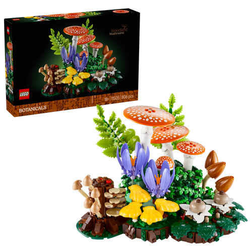 Botanicals Woodland Mushrooms | 11505