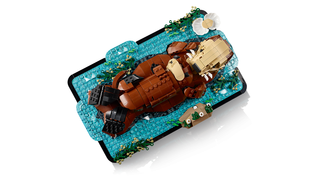 Ideas Floating Sea Otters | 21366