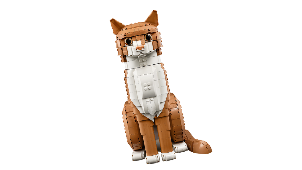 Ideas Orange Cat | 21376