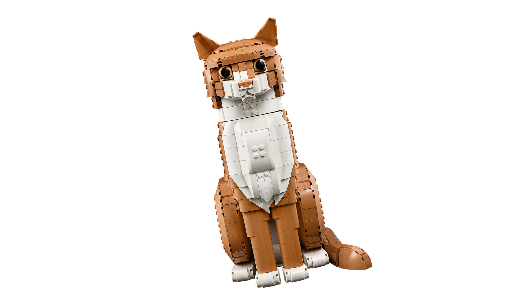 Ideas Orange Cat | 21376