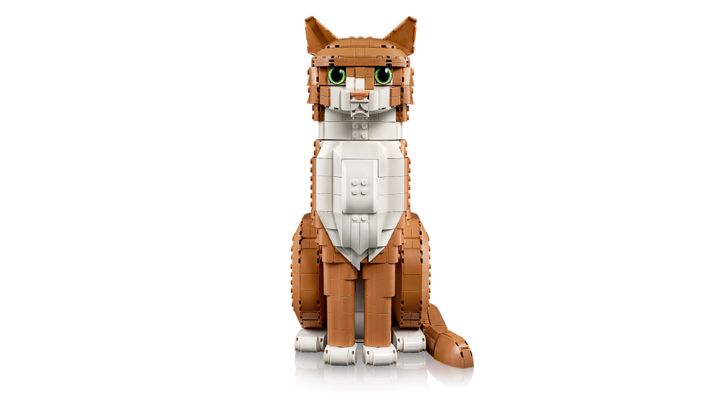 Ideas Orange Cat | 21376