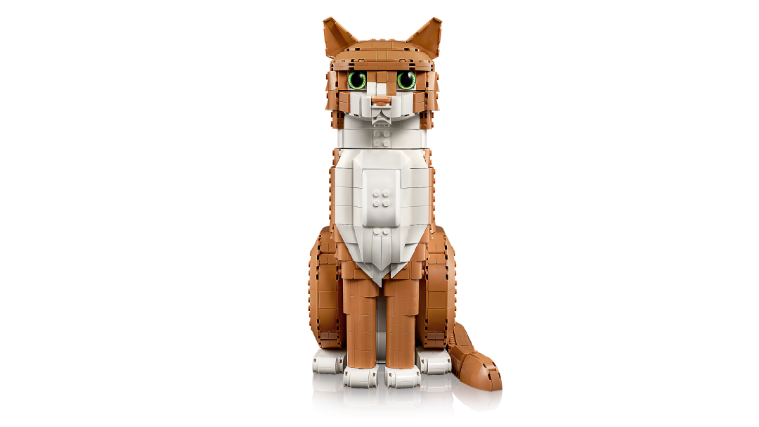 Ideas Orange Cat | 21376