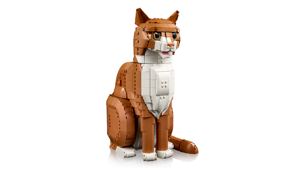 Ideas Orange Cat | 21376