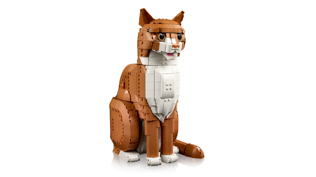 Ideas Orange Cat | 21376