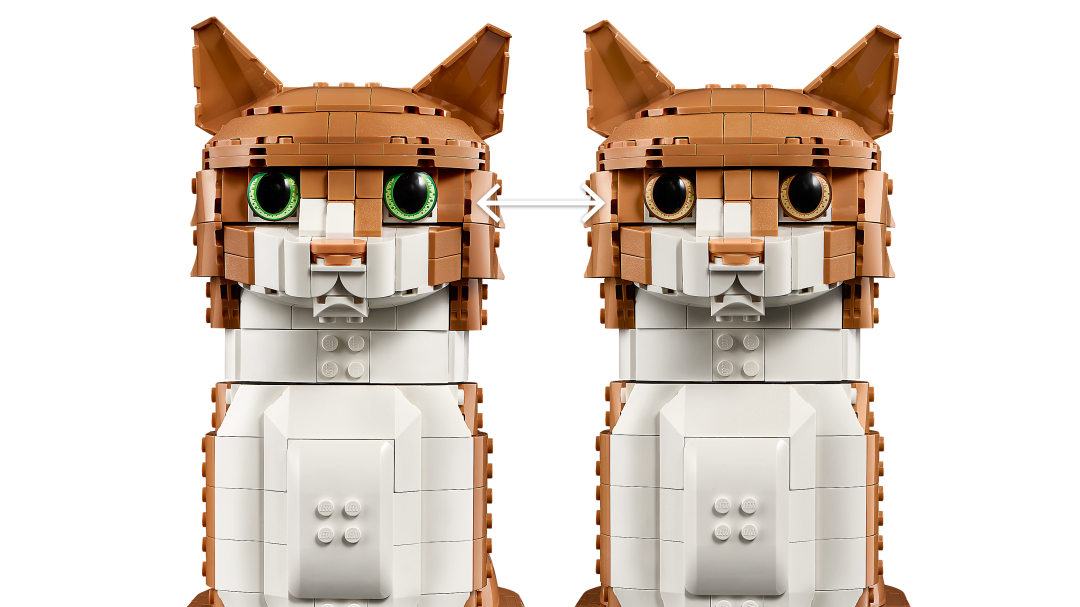 Ideas Orange Cat | 21376
