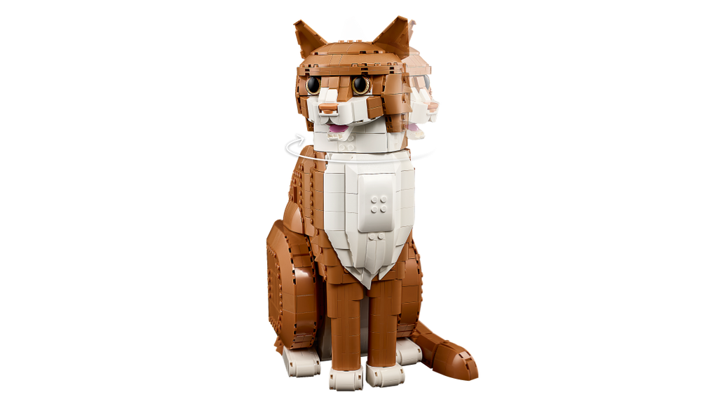 Ideas Orange Cat | 21376