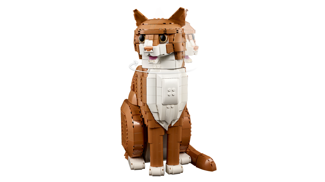 Ideas Orange Cat | 21376