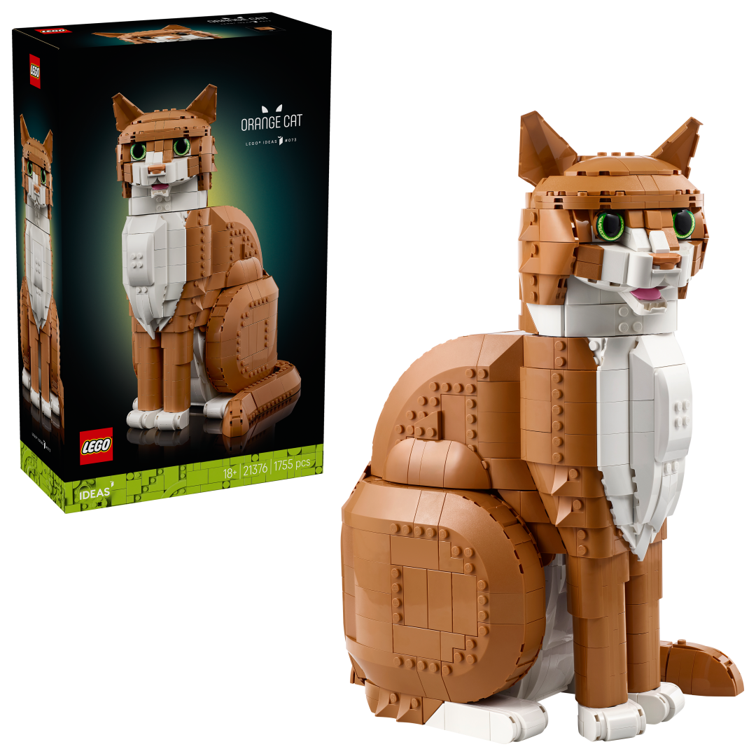 Ideas Orange Cat | 21376