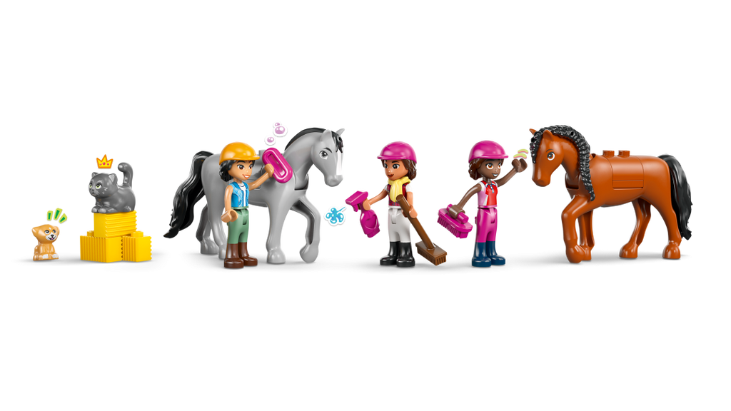 Friends Horse Stable and Riding Academy | 42688