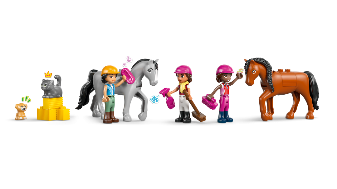 Friends Horse Stable and Riding Academy | 42688