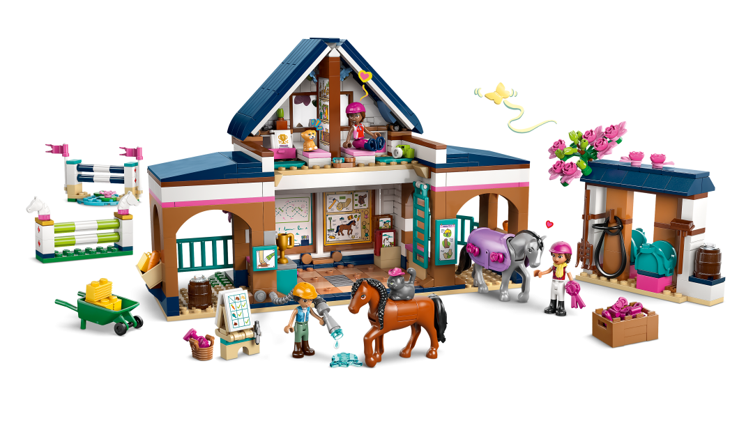 Friends Horse Stable and Riding Academy | 42688