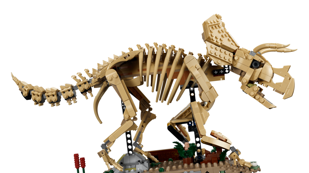 Jurassic World Dinosaur Fossils: Triceratops | 77985