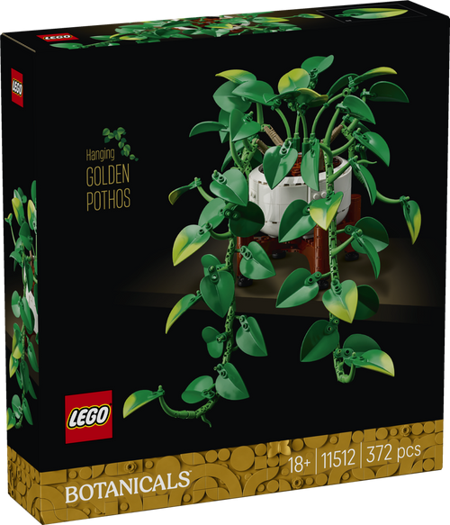 Botanicals Hanging Golden Pothos | 11512