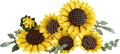 Botanicals Sunflower Bouquet | 11502