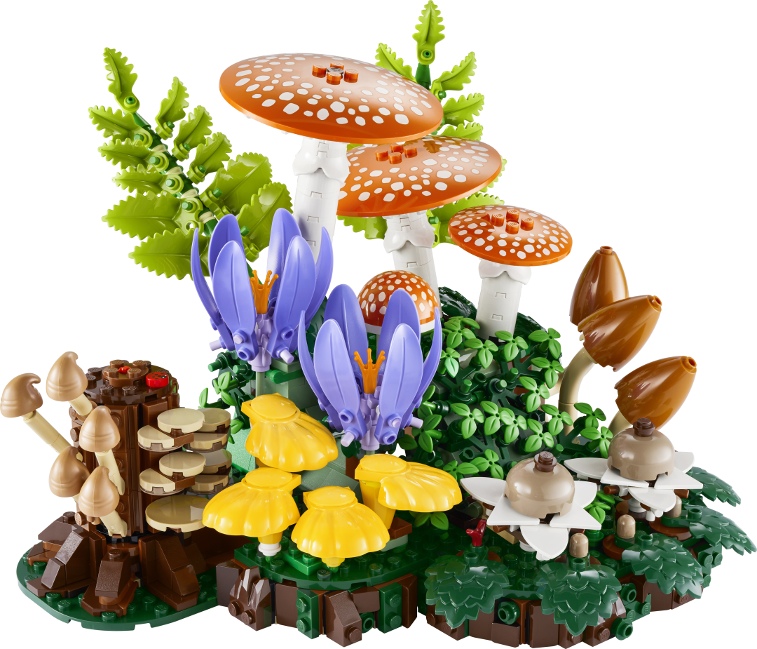 Botanicals Woodland Mushrooms | 11505