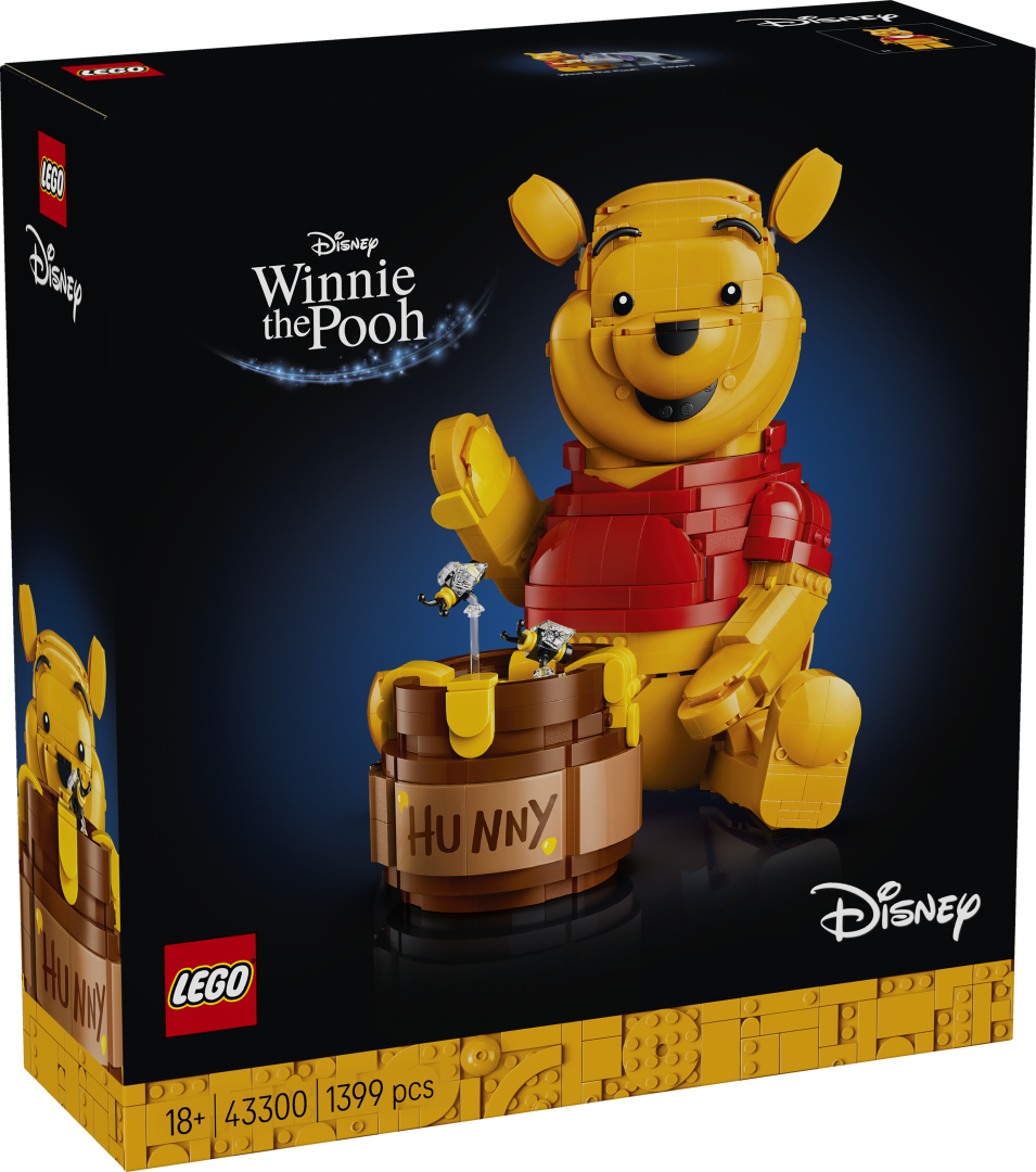 Disney Winnie the Pooh | 43300