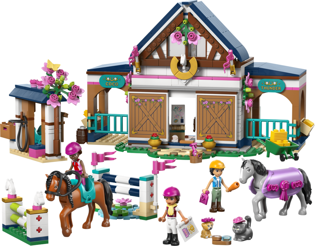 Friends Horse Stable and Riding Academy | 42688
