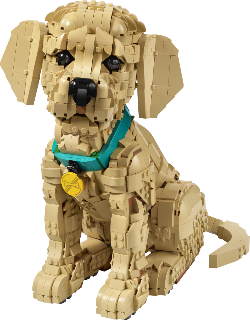 Icons Golden Retriever Puppy | 11384