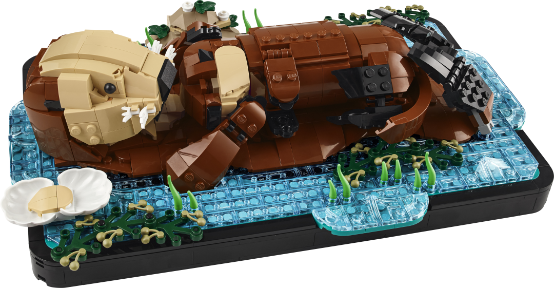 Ideas Floating Sea Otters | 21366