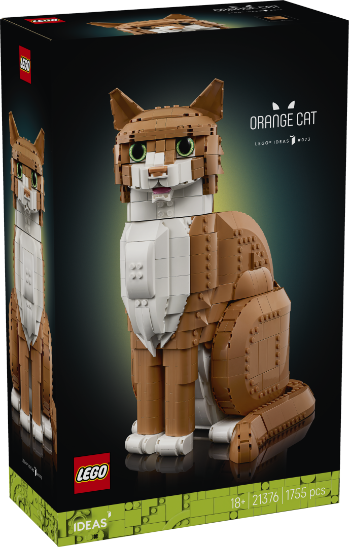 Ideas Orange Cat | 21376