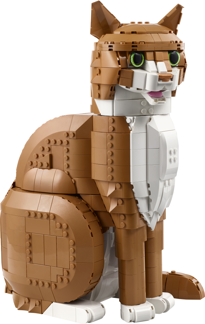Ideas Orange Cat | 21376