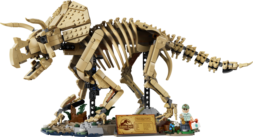 Jurassic World Dinosaur Fossils: Triceratops | 77985