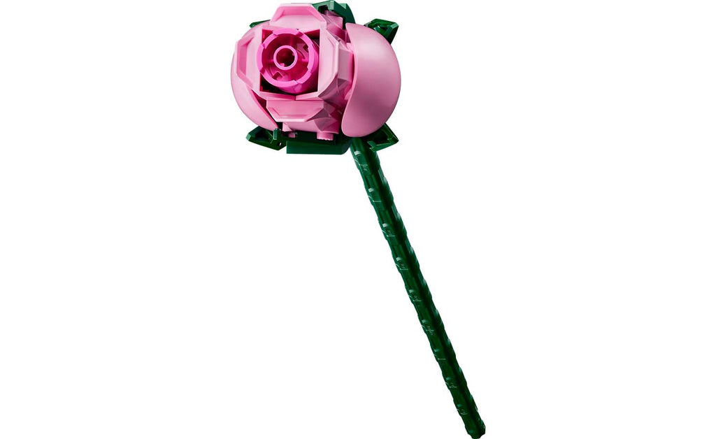 Botanicals Bouquet of Pink Roses | 10374