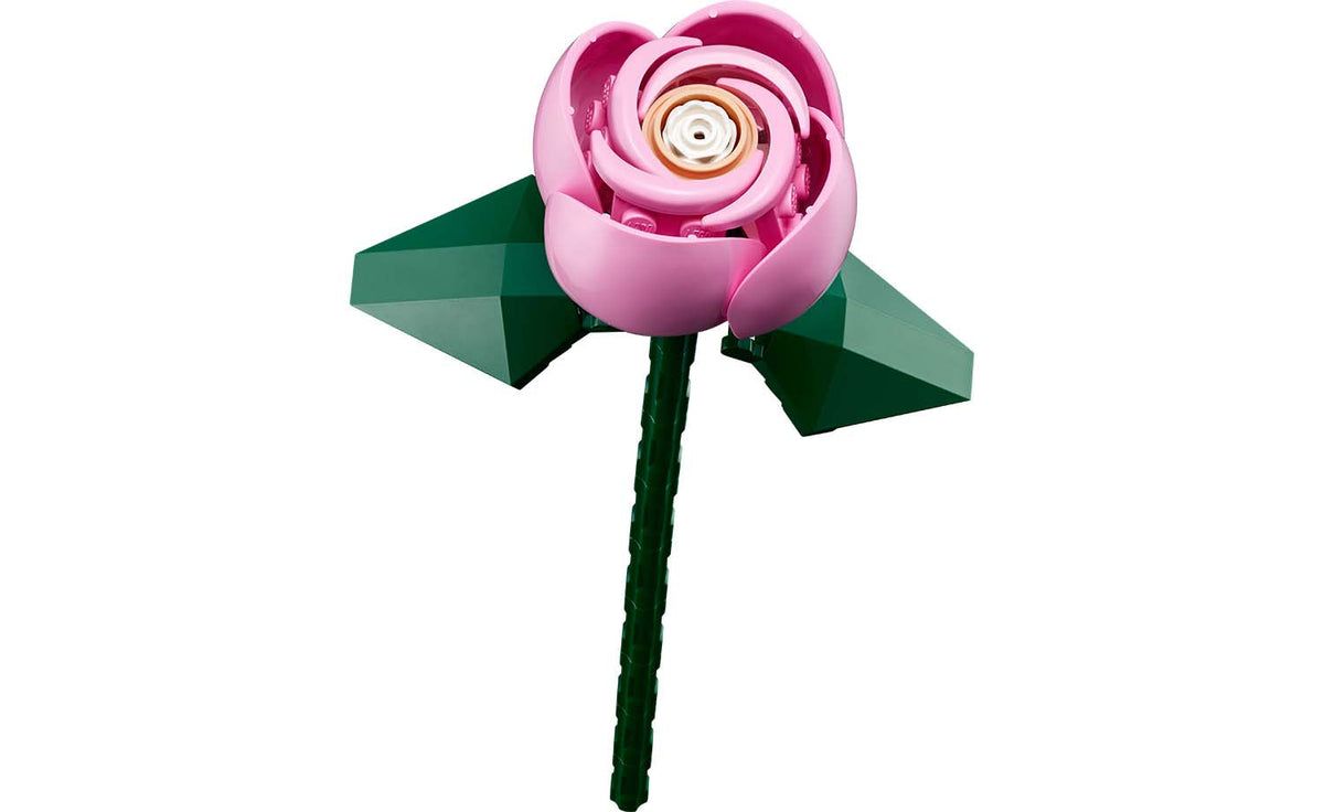 Botanicals Bouquet of Pink Roses | 10374