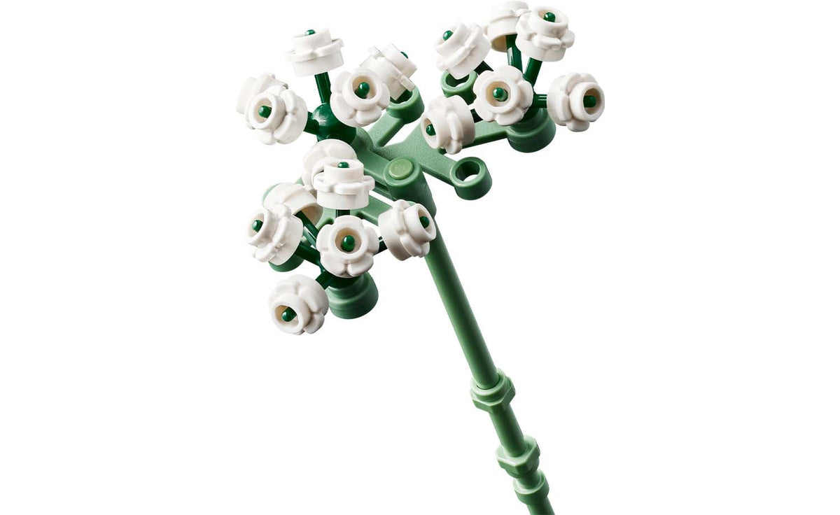 Botanicals Bouquet of Pink Roses | 10374