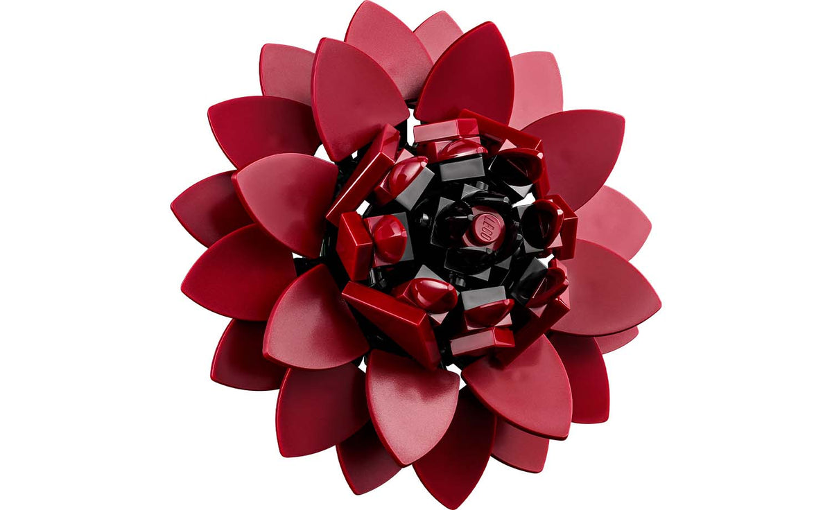Botanicals Dark Flower Arrangement | 11513
