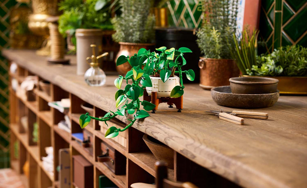 Botanicals Hanging Golden Pothos | 11512