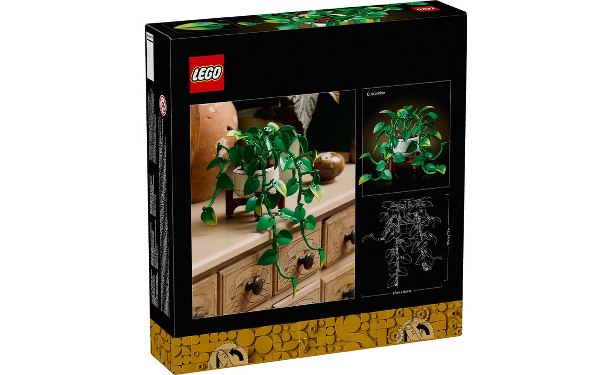 Botanicals Hanging Golden Pothos | 11512