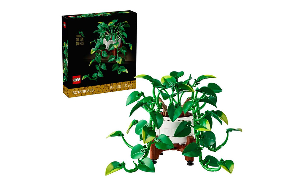 Botanicals Hanging Golden Pothos | 11512