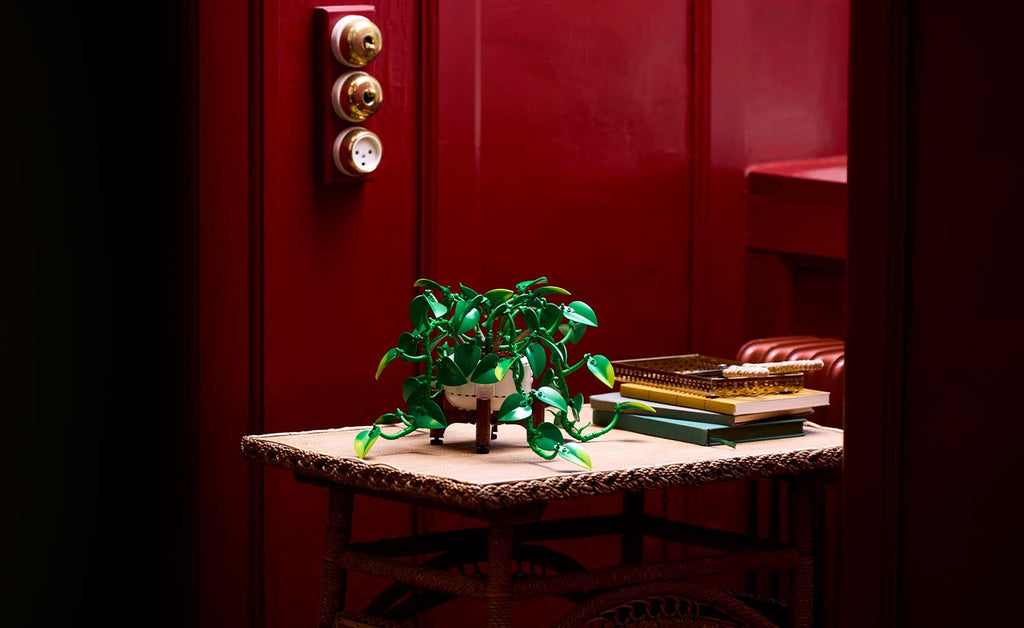 Botanicals Hanging Golden Pothos | 11512