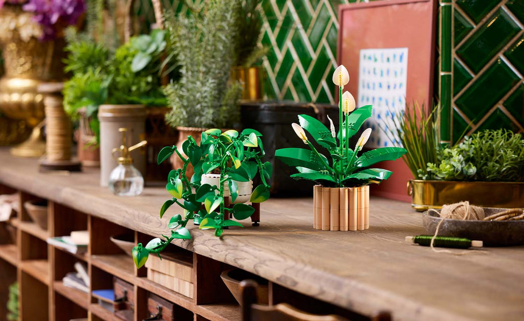 Botanicals Hanging Golden Pothos | 11512