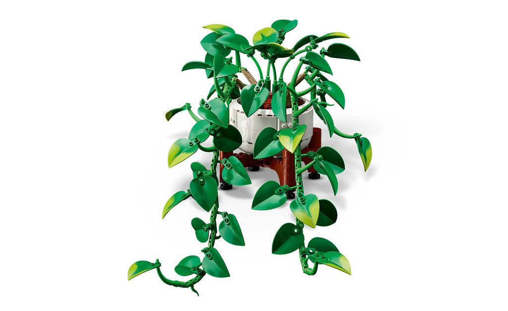 Botanicals Hanging Golden Pothos | 11512