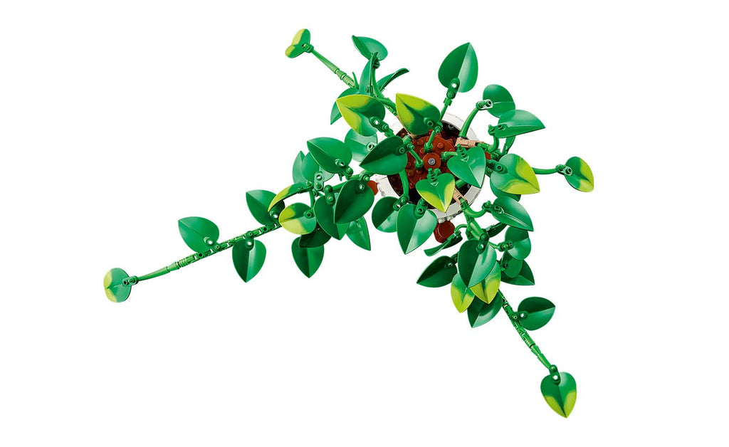 Botanicals Hanging Golden Pothos | 11512
