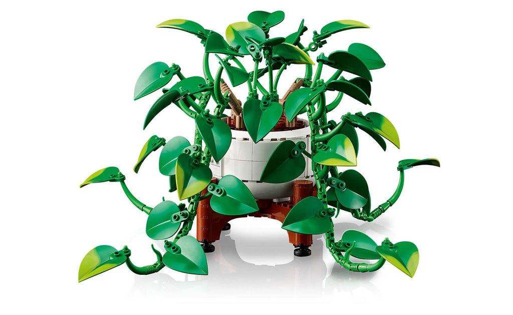 Botanicals Hanging Golden Pothos | 11512