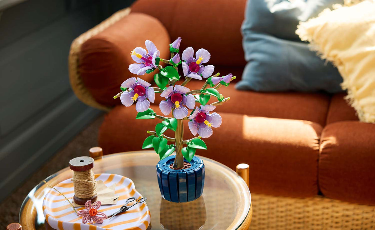 Botanicals Hibiscus | 10372