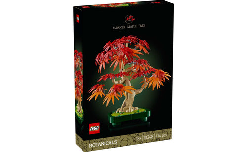 Botanicals Japanese Red Maple Bonsai Tree | 10348